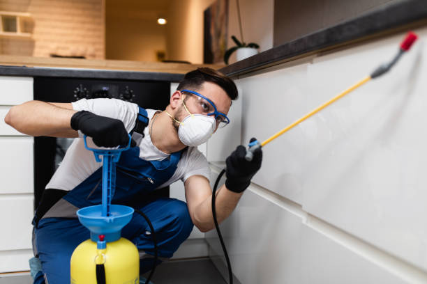 Best Commercial Pest Control Services  in San Antonio Heights, CA