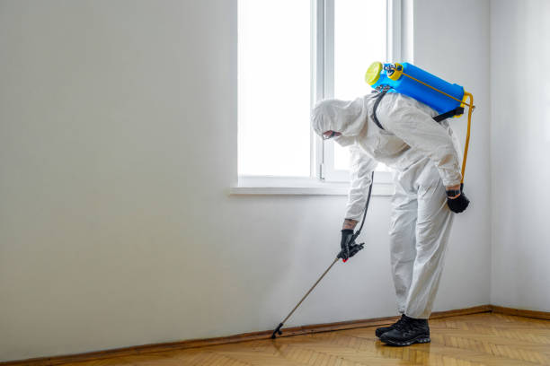 Bird Control in San Antonio Heights, CA