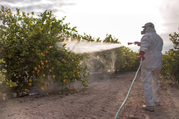Best Pest Prevention Services  in San Antonio Heights, CA