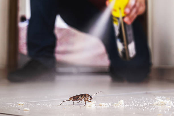 Best Cockroach Control Services  in San Antonio Heights, CA
